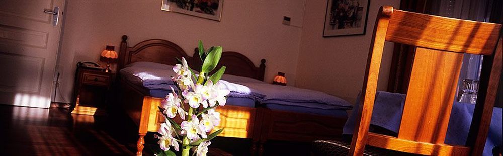 Hotel Alexandra Muralto